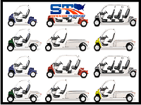 we ship 2 seater, 4 seater, 6 seater and custom golf carts